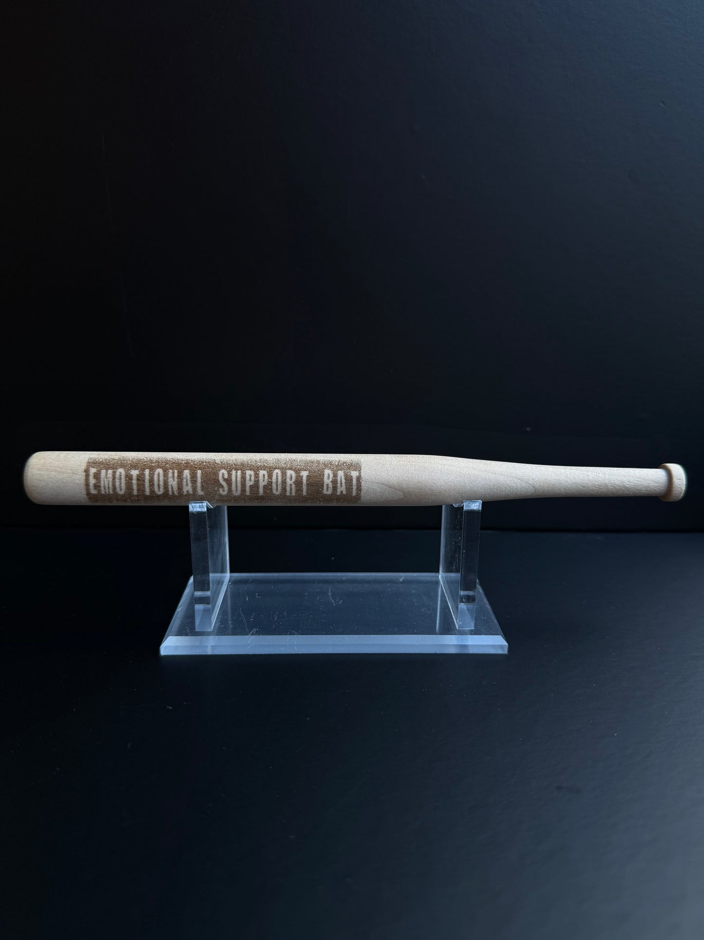 Vigo's Emotional Support Bat - Bookshelf Decoration